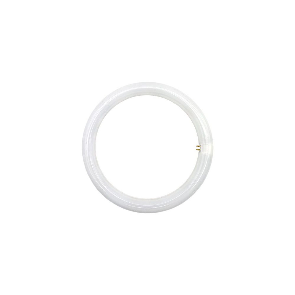 Lampada Led T9 Circular 15W 6400